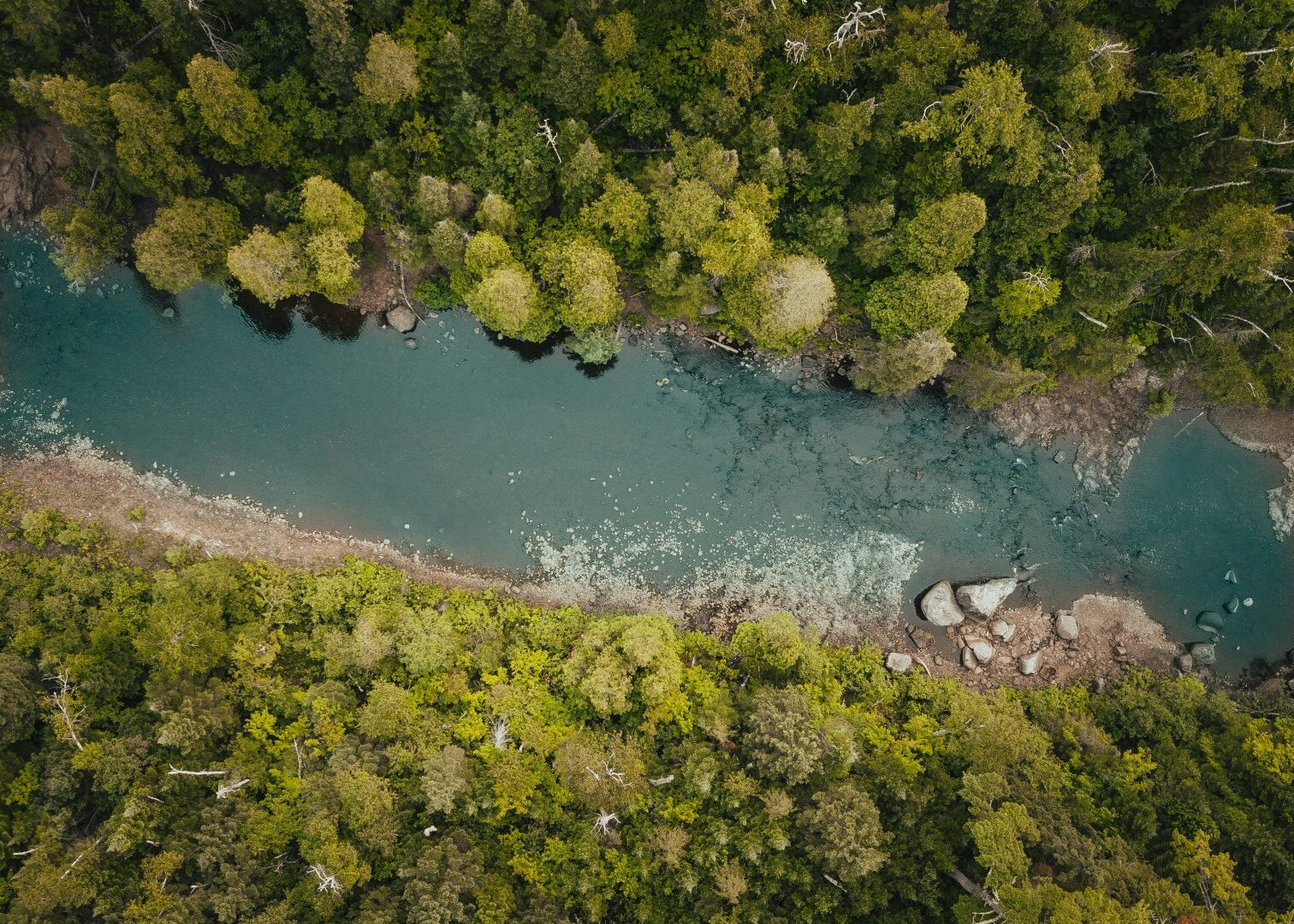 THE PROJECT - Count-Project